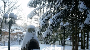 Ein steinerner Kamin im Freien, umgeben von schneebedeckten Bäumen und einem Pflasterweg.