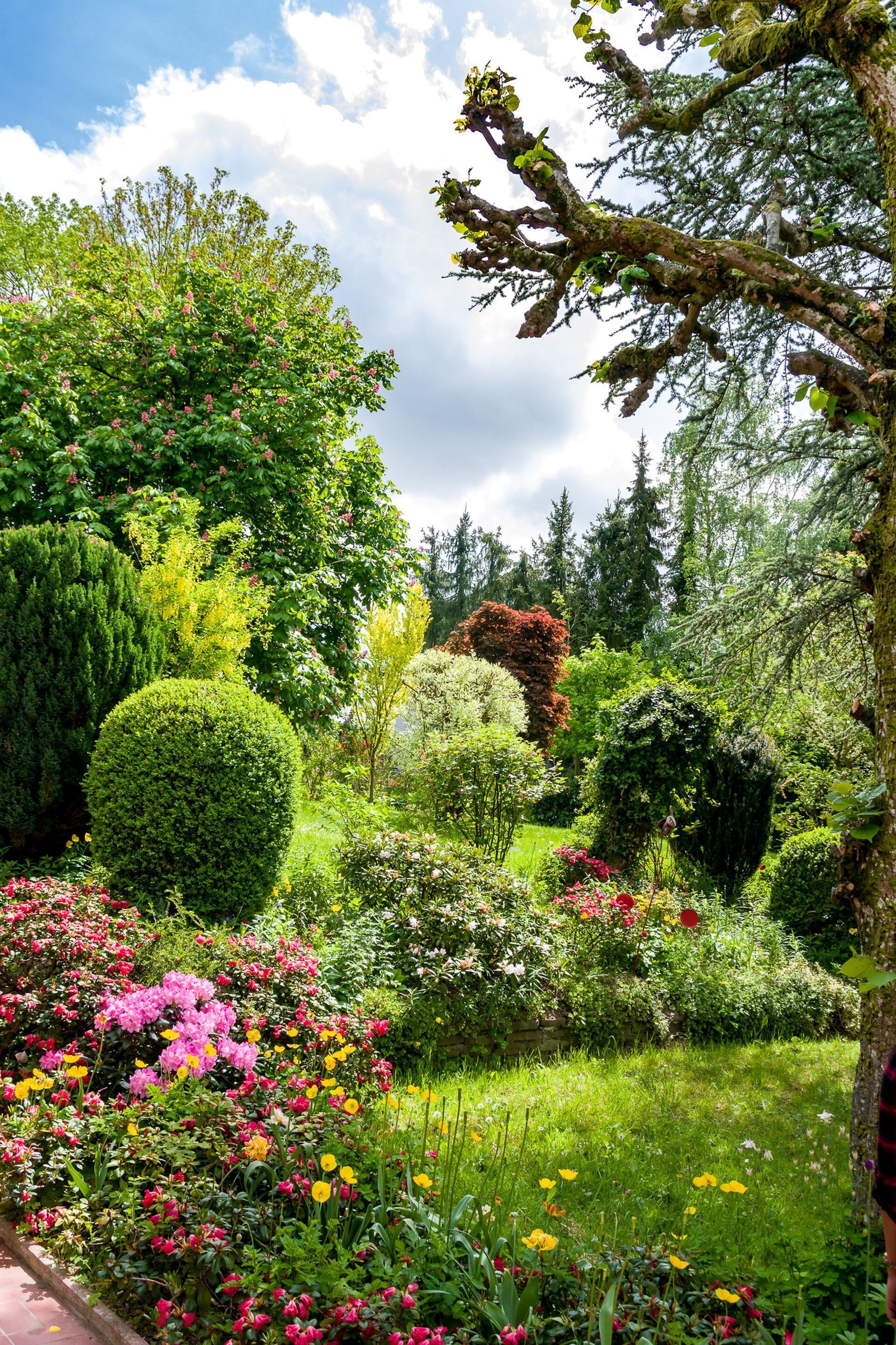 Terrein van de accommodatie