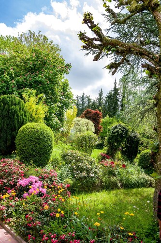 Vacation in a small park