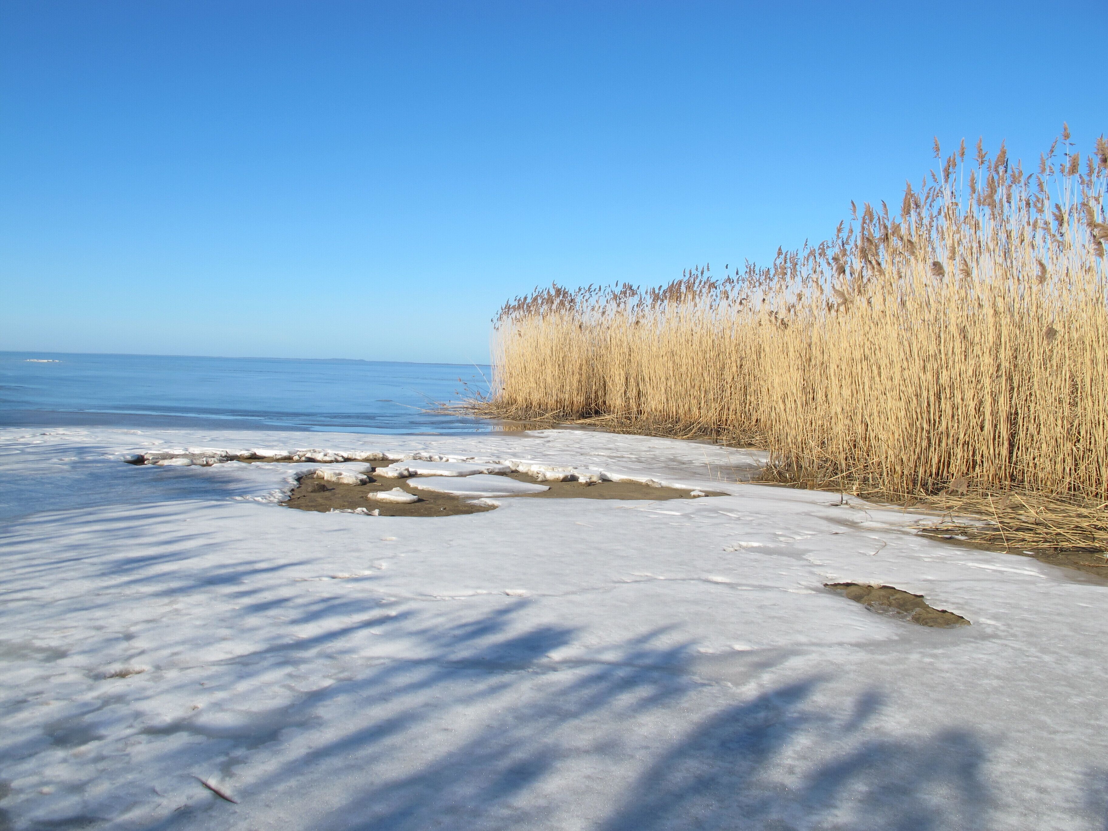 Beach nearby, sun loungers