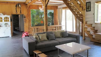 TV, fireplace, books
