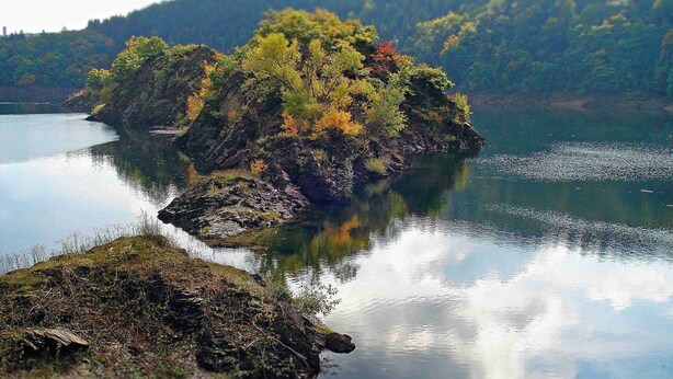Ein ruhiger See mit einer kleinen, von Bäumen bewachsenen Insel.