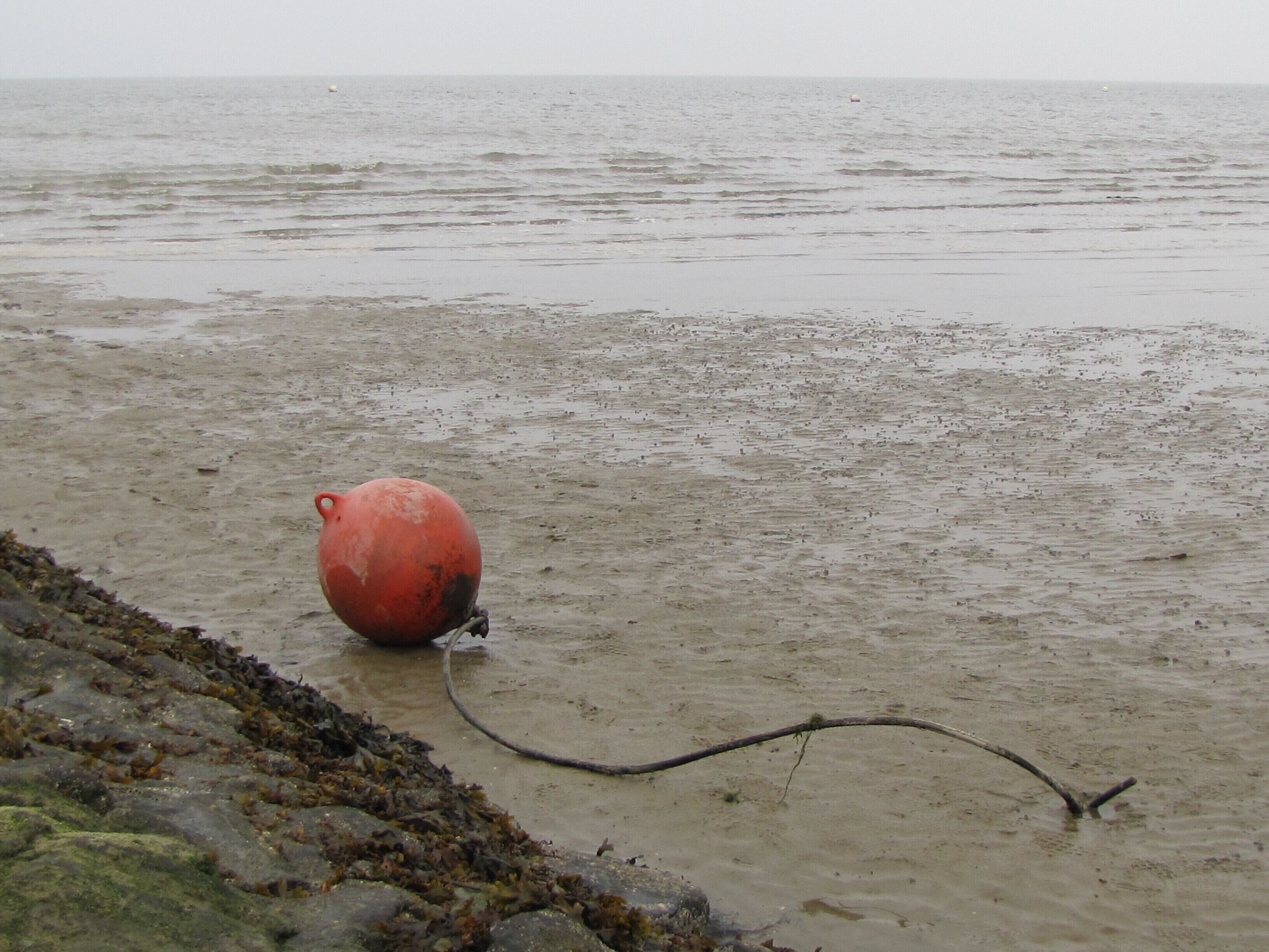Une bouée sur une plage de sable, avec une côte rocheuse.