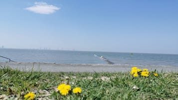 Vlak bij het strand