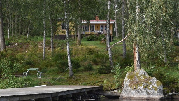 A wooden dock extending into a calm body of water, surrounded by a forested area with a house in the background.