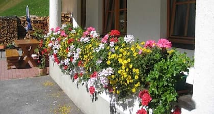 Mühle - Blaue Silvretta