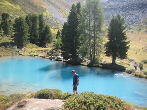 Luokittelematon kuva, 3 kautta 25, painike