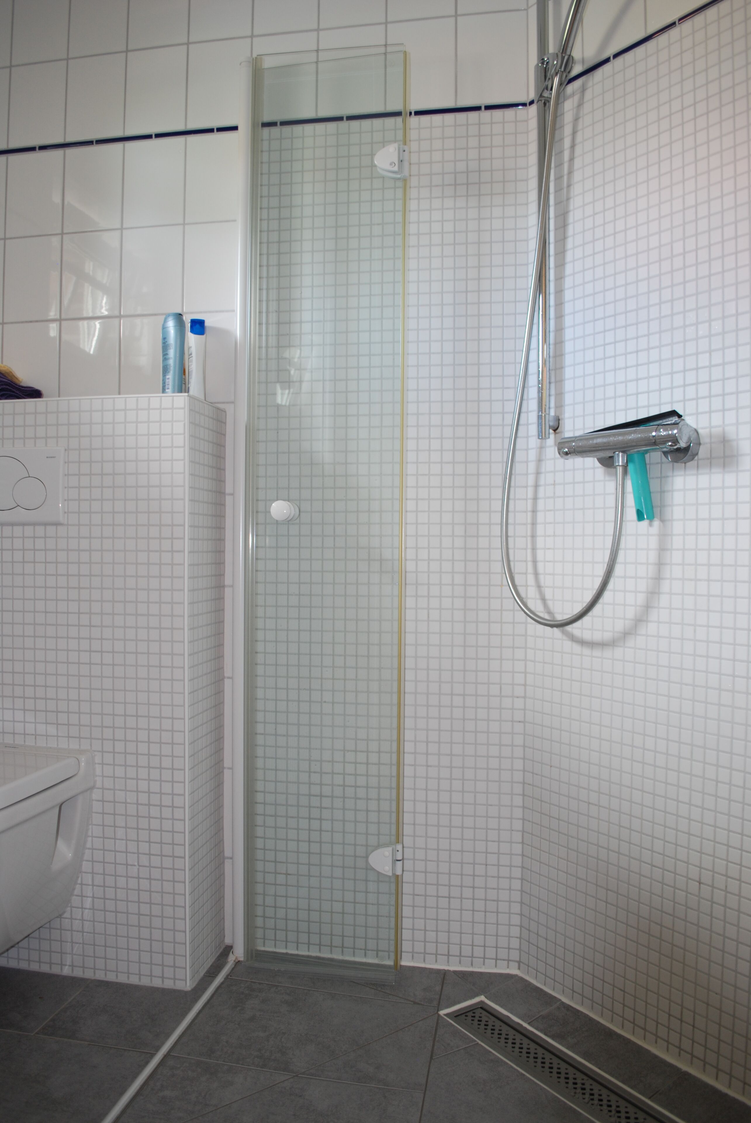 Shower, hair dryer, toilet paper