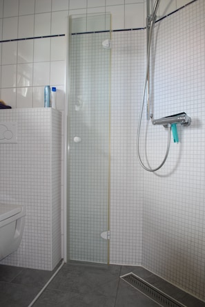 Shower, hair dryer, toilet paper