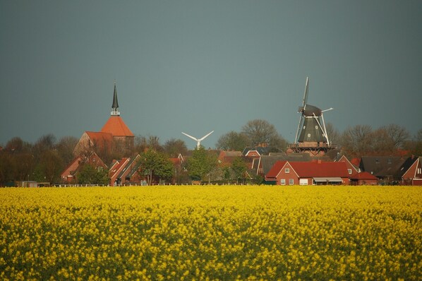 A rural landscape with a windmill, a church, and houses in the background.