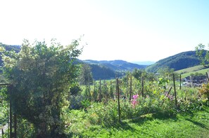 Terrain de l’hébergement 
