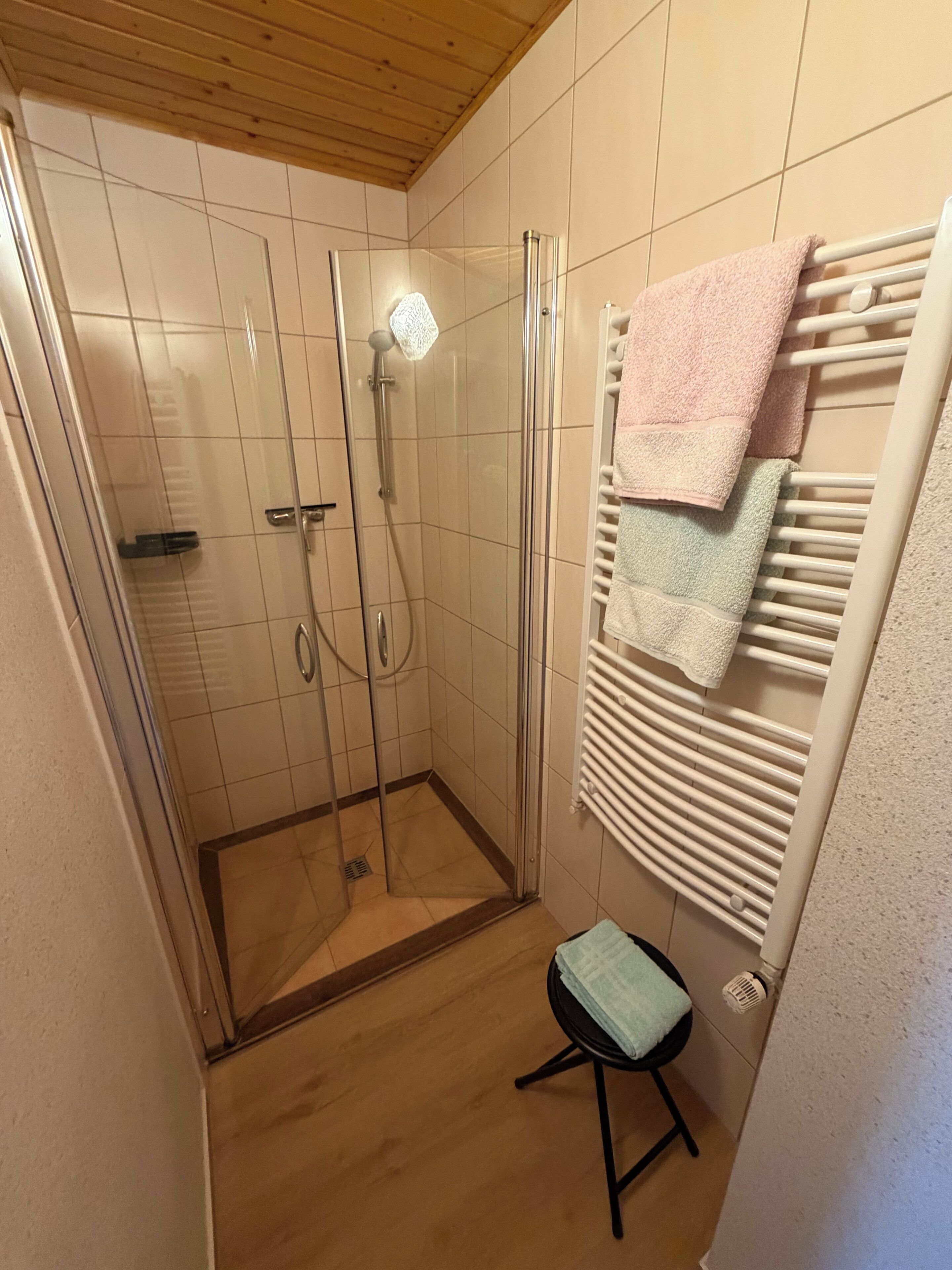 Dusche, Haartrockner, Handtücher, Toilettenpapier