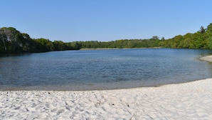 Een zandstrand met een rustig meer en een dichte boomrij in de verte.