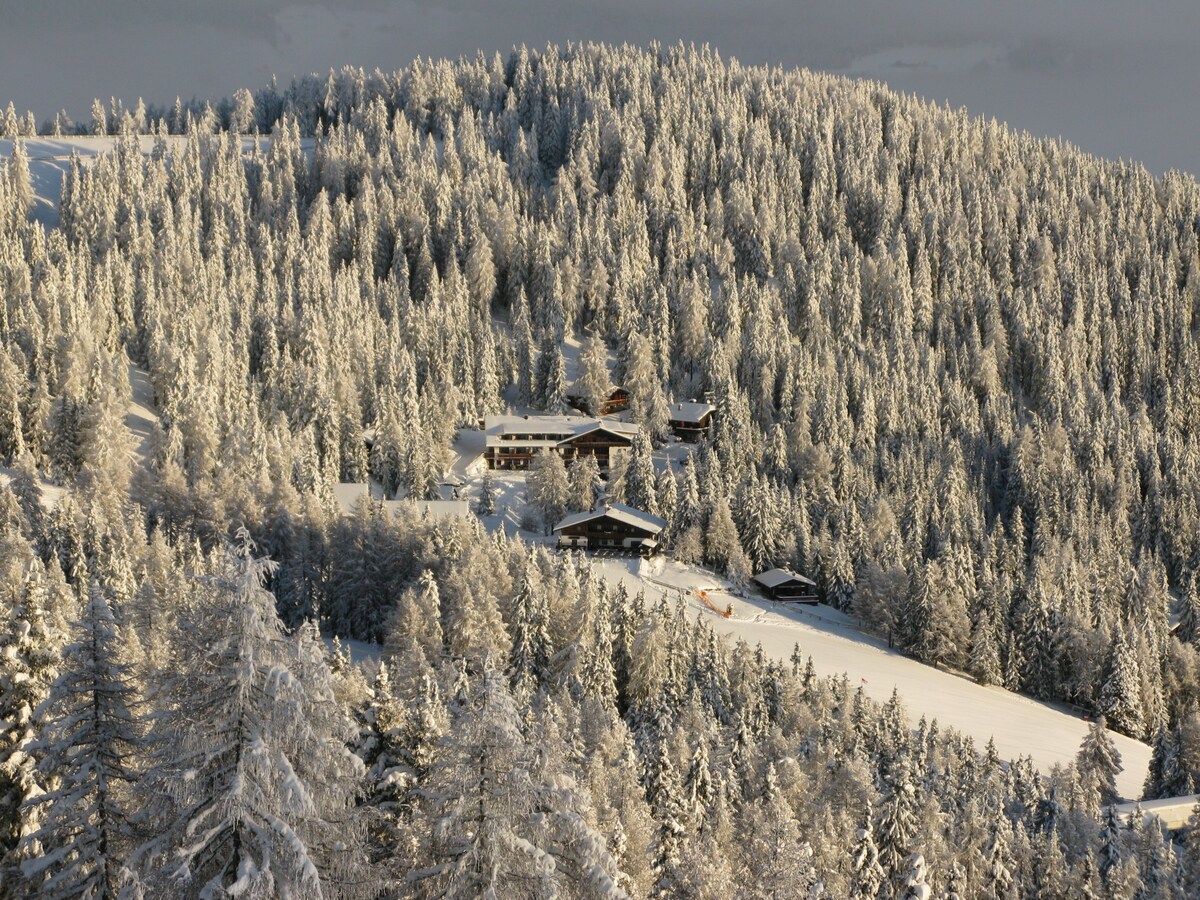 Image de profil de l’hôte
