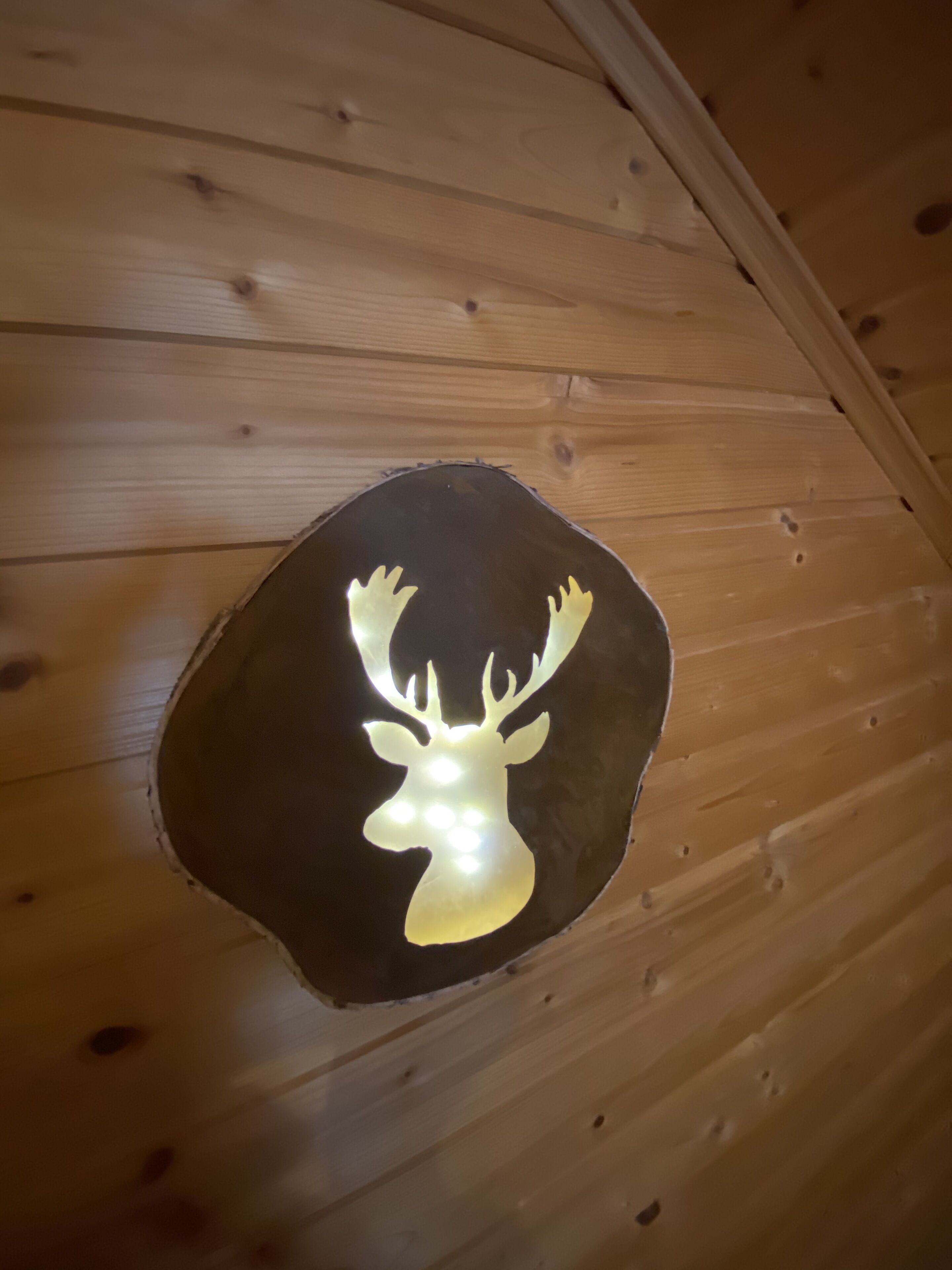 Eine Holzzieldecke mit einem Deer-Head-Ausschnitt.