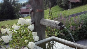 A rustic wooden structure with a water spout, surrounded by lush greenery and white flowers.