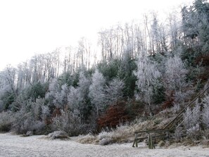 Unclassified image, 2 of 25, button - 3 rooms terrace OH - ** 300m to the Baltic beach ** Bj. 07, south balcony / terrace (Koserow)