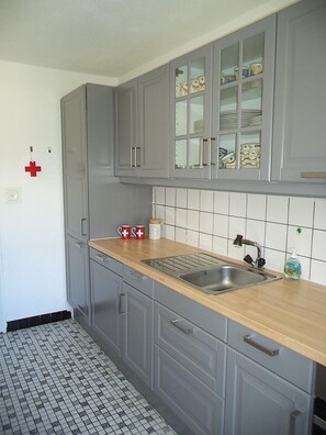 Fridge, oven, stovetop, dishwasher
