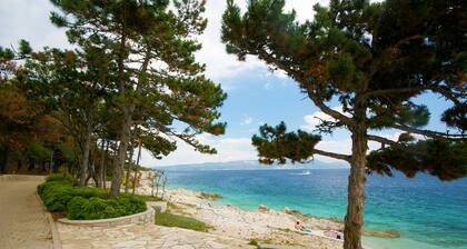 Quiet and secluded, minutes to beach, private pool in a wonderful garden