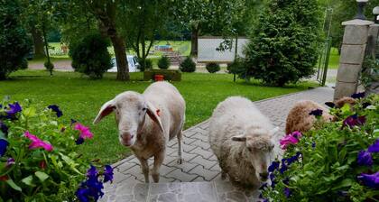Ferienhaus Stárkov für 1 - 8 Personen mit 3 Schlafzimmern - Ferienhaus