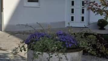 Detalle exterior