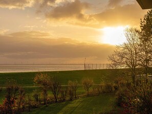 Unclassified image, 2 of 26, button