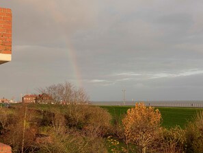 Unclassified image, 4 of 26, button