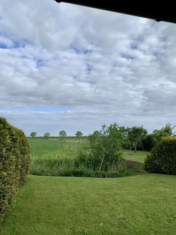 Een begroeiend veld met bomen en een bewolkte lucht.