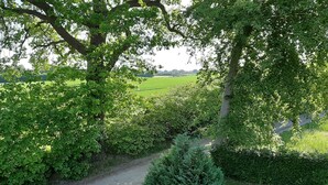 A rural road surrounded by lush greenery and trees. - Enjoy stunning views over Kiel and nature (Kiel)