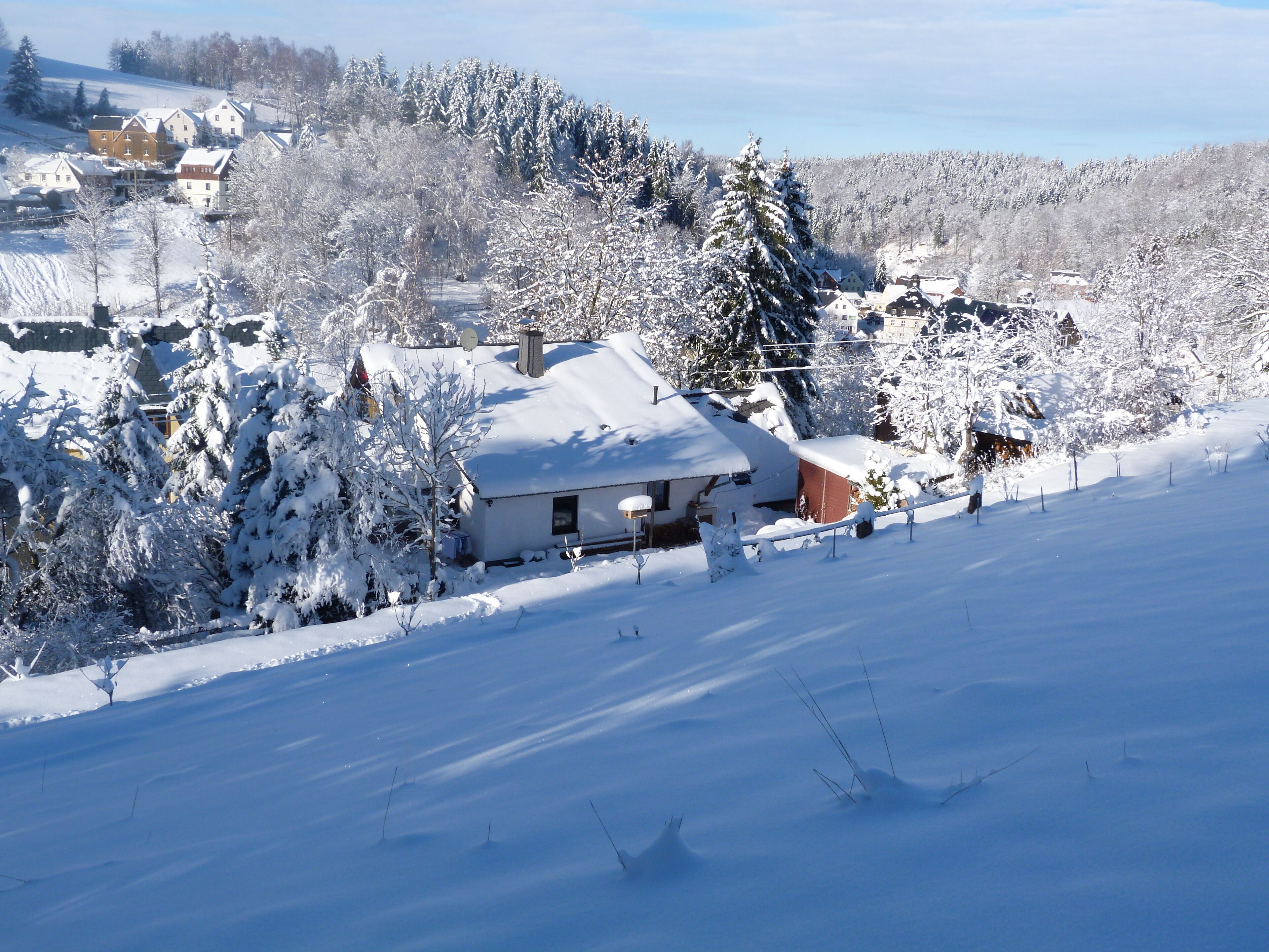 Eine verschneite Landschaft mit Häusern und Bäumen.