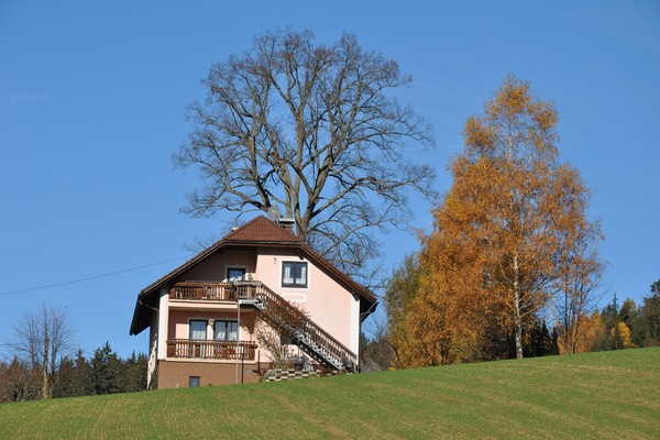 ... in mitten von bunten Blättern