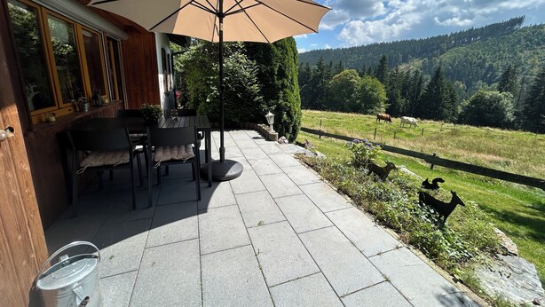 An outdoor patio with a table and chairs, a large umbrella, and a scenic view of a forested hillside. - Pure nature - detached, quietly situated vacation home for 4 people (Feldberg)