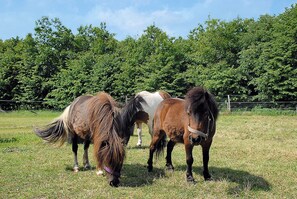 Unclassified image, 5 of 20, button