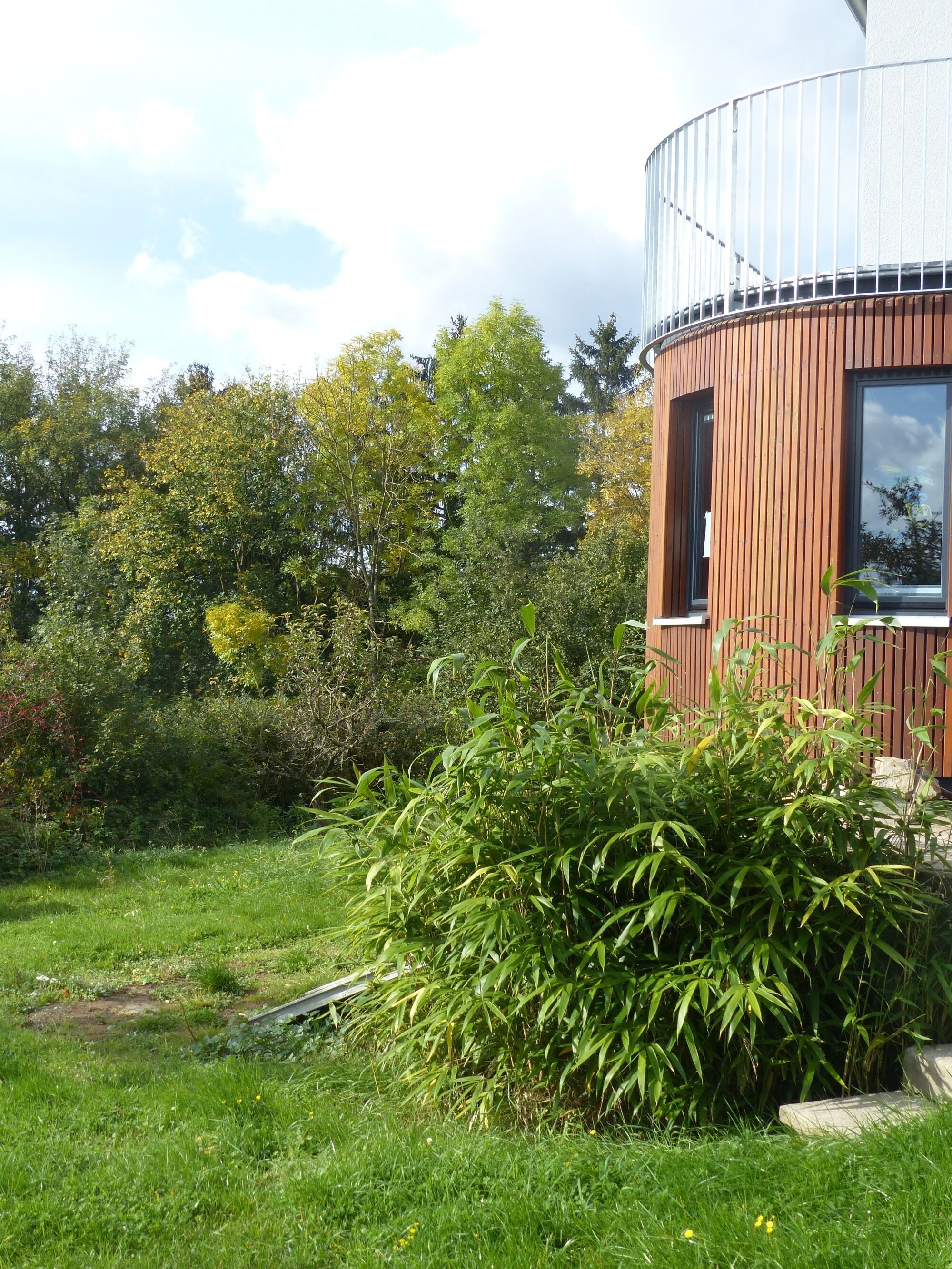 Außenansicht mit Garten und Blick in den angrenzenden Wald