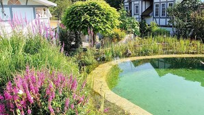 A garden with a pond, surrounded by lush greenery and flowering plants. - Apartment water lily Remseck (Remseck am Neckar)