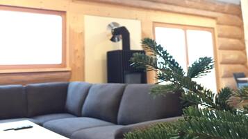 TV, fireplace, stereo