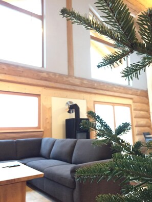 TV, fireplace, stereo