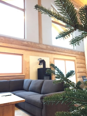 Télévision, cheminée, chaîne hi-fi