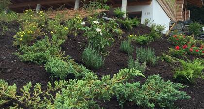 Chalet Gailtal - Feel good in a top class natural log house