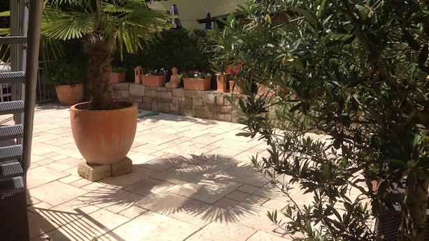 A courtyard with a large potted palm tree, stone wall, and various other potted plants.