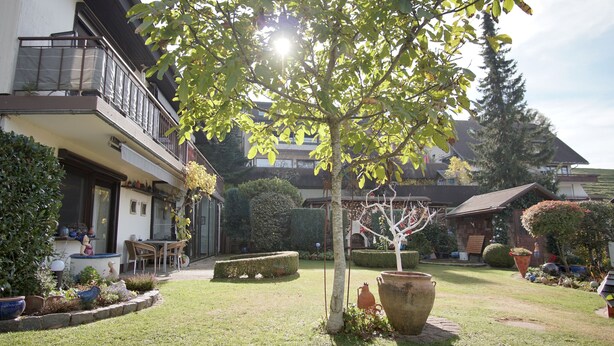 A well-maintained garden with a variety of plants and a large tree in the center. - Modern, bright and quiet apartment in the heart of the Black Forest (Sankt Märgen)