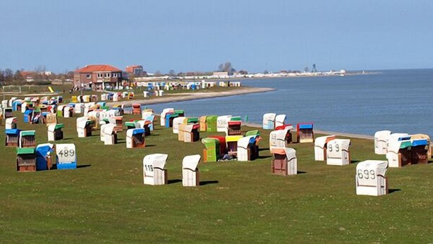 Eine Küstenlandschaft mit nummerierten Strandhäusern, die in Reih und Glied auf der Wiese am Wasser stehen.
