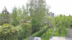 Ein Wohngebiet mit verschiedenen Bäumen und blauem Himmel.