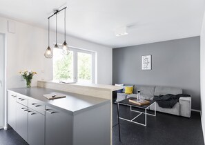 Interior - 104 sqm designer duplex apartment new build first occupancy April 2018 (Friedrichshafen)