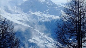Un paisaje montañoso con picos nevados y árboles sin hojas.