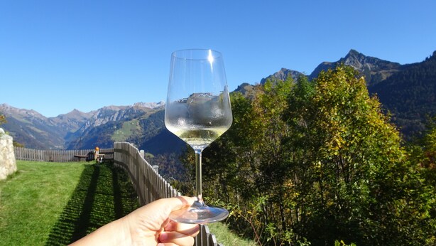 A hand holding a wine glass with a mountainous landscape in the background. - self-catering holiday house (about 130m²), ideal for 2-3 families (Blons)