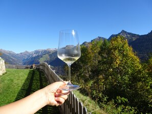 A hand holding a wine glass with a mountainous landscape in the background.