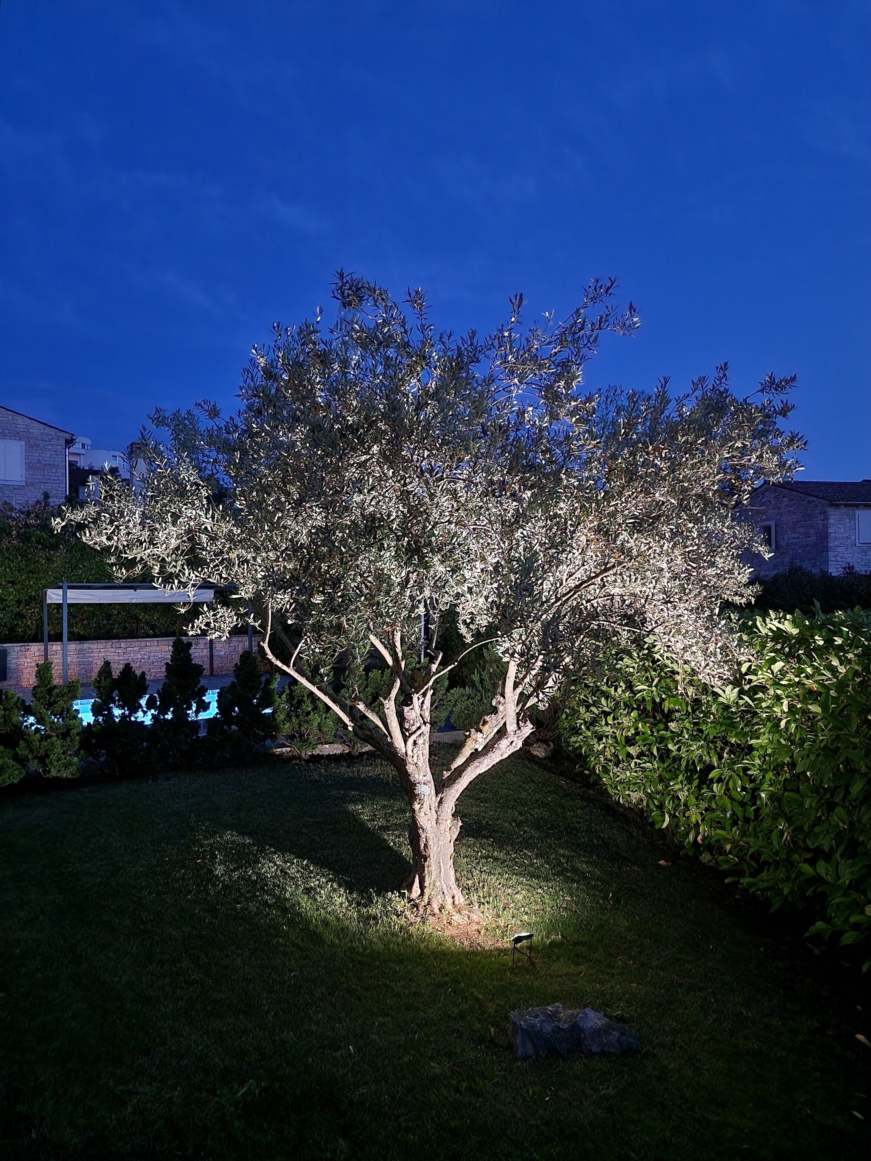 Ein Baum in einem Garten mit Pool und Steingebäude.