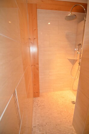 Combined shower/tub, hair dryer, towels