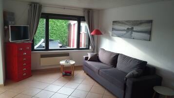 Televisión, chimenea, reproductor de DVD y libros